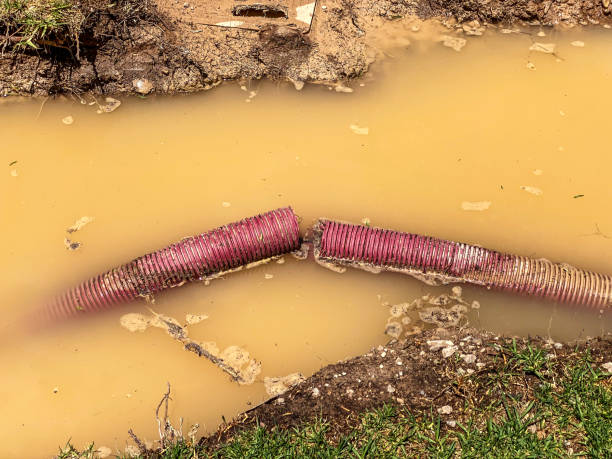 Best Mold removal after water damage  in Gilbertsville, PA